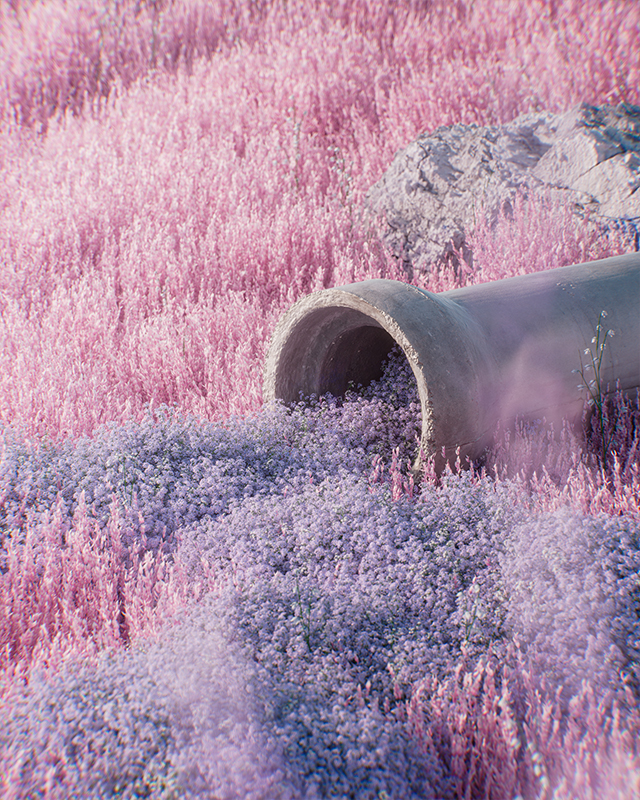 Leak